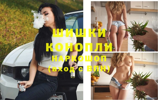 мяу мяу мука Елизово