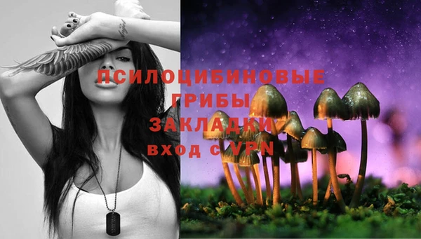 мяу мяу мука Елизово