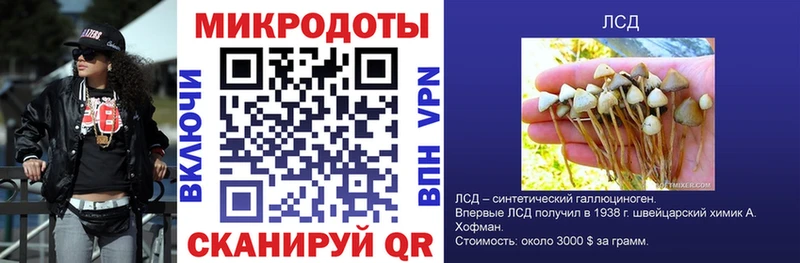 Галлюциногенные грибы GOLDEN TEACHER  гидра вход  Инта  цена наркотик 